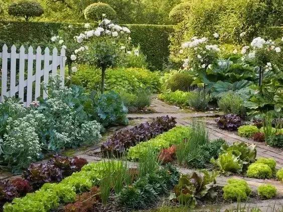 院子里的菜园就这么设计！